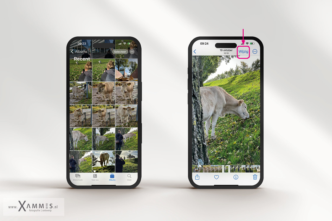 groepsfotografie, zwangerschapsfotografie, vriendinennshoot, soesterduinen