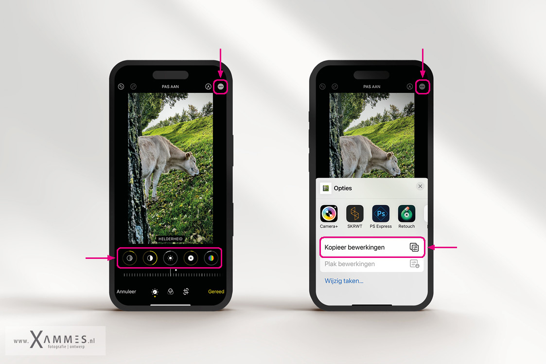 groepsfotografie, zwangerschapsfotografie, vriendinennshoot, soesterduinen