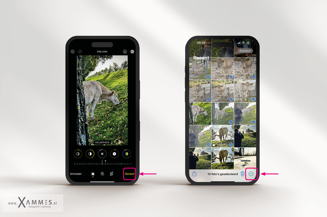 groepsfotografie, zwangerschapsfotografie, vriendinennshoot, soesterduinen