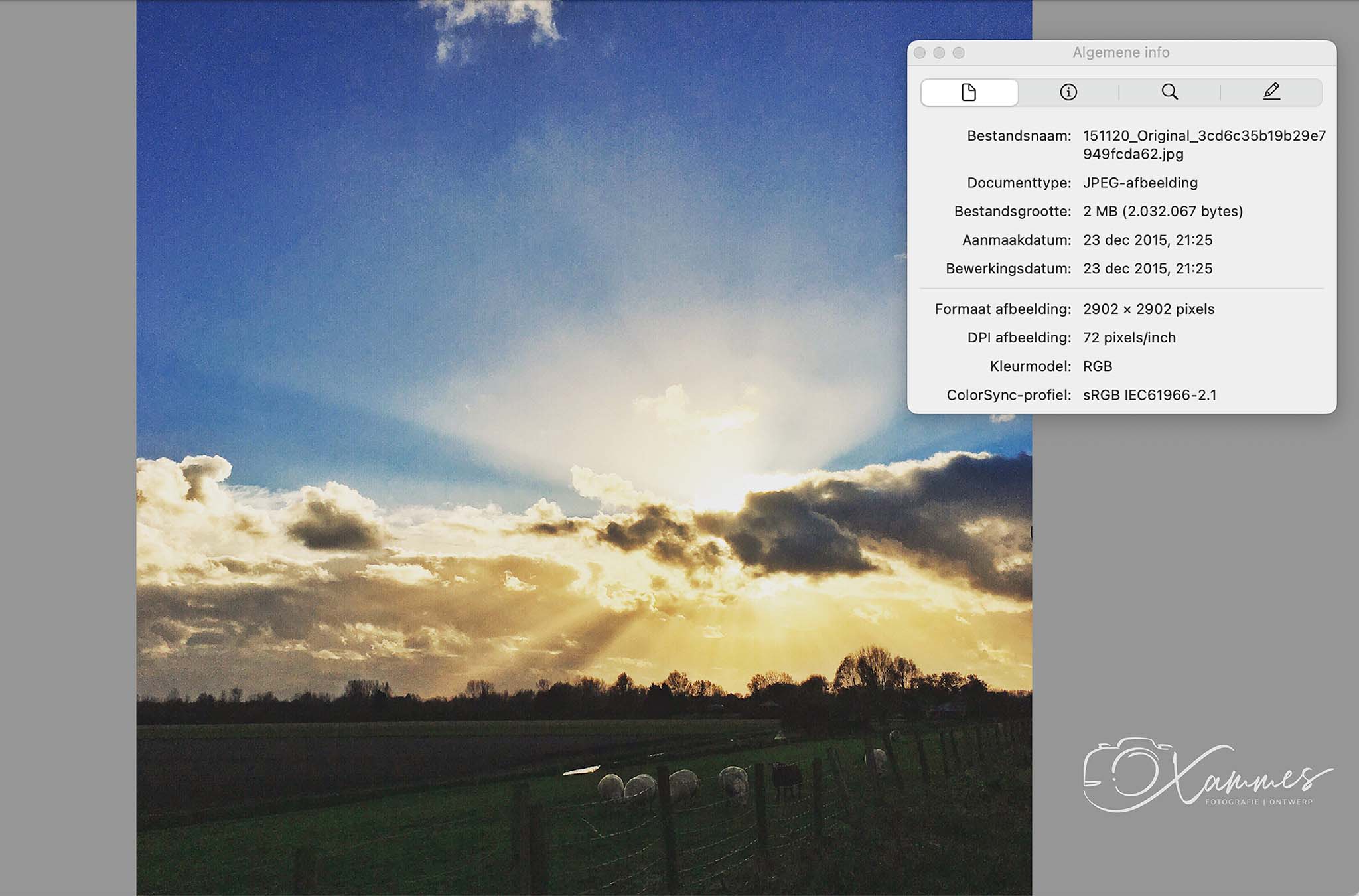 DPI-bestandsinformatie Mac