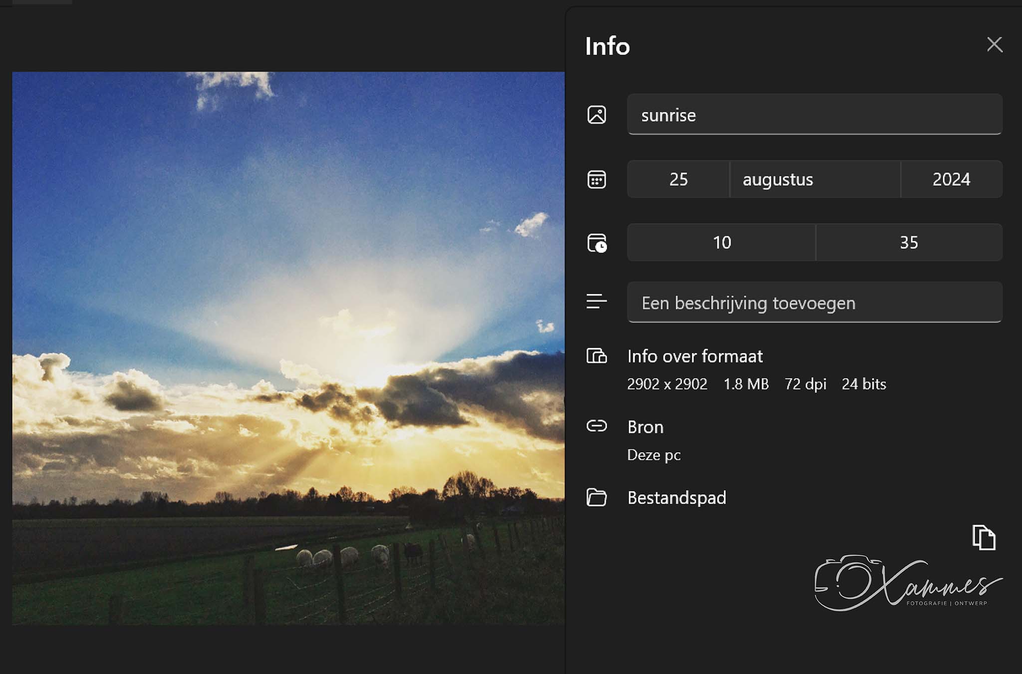 DPI-bestandsinformatie Windows
