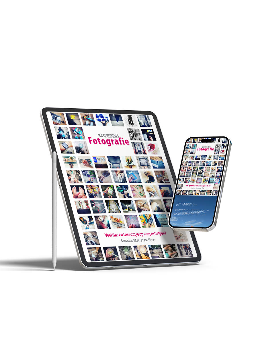 Cover van het eBook Basiskennis Fotografie voor spiegelreflex- en systeemcamera